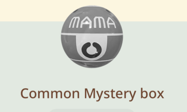 MAMA box.jpeg