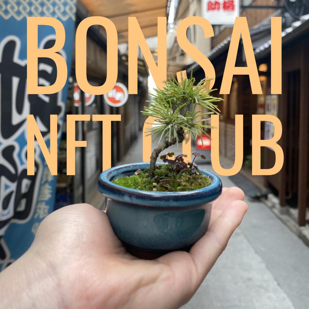 BONSAI NFT CLUB pics - 2023-11-16T183639.179.jpg